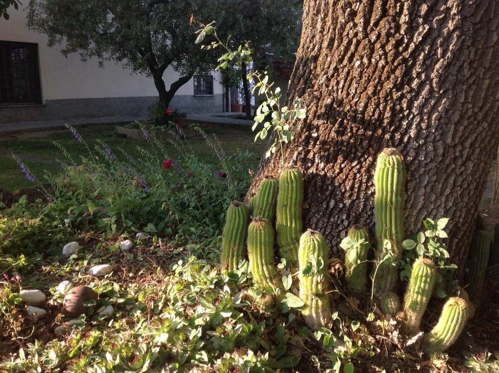 הוילה Pergine Valdarno La Vecchia Quercia מראה חיצוני תמונה